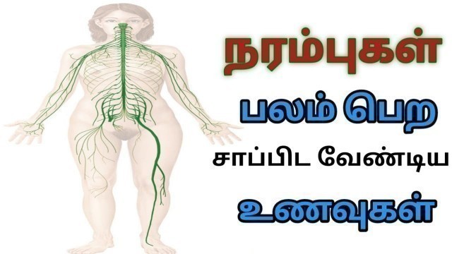 'Best 7 Foods For Nerve Strength | நரம்புகள் வலுவாக அற்புதமான 7 உணவுகள் | Tamil Health Tips'