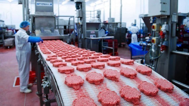 'Modern Meat Cutting Technology Factory - Modern Meat Processing Food Machine Line'