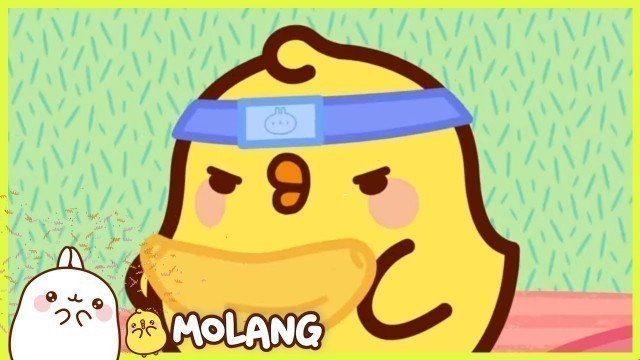 'Molang - Kung-Fu | Comedy Cartoon | More ⬇️ ⬇️ ⬇️'