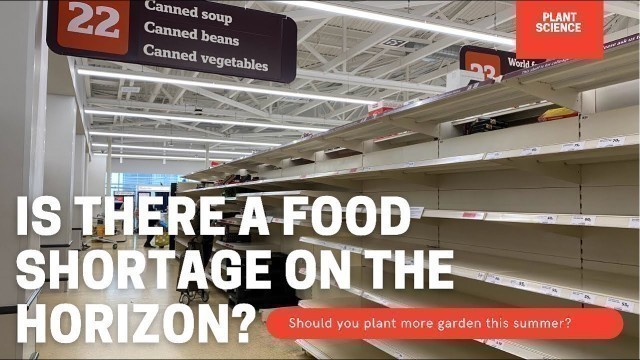 'The 2021 Food Shortage Is Coming… But Why? Is It Fixable & How To Prevent It In The Future.'