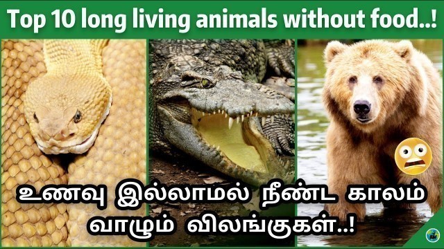 'Top 10 long living animals without food | Not eating animals | Tamil | Bioworld'