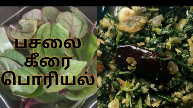 'How to do Pasalai Keerai Poriyal to increase Haemoglobin in Tamil / Healthy & easy recipe to prepare'