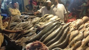 'Fry Fish Kamari Karachi Pakistan | Street food of Karachi Pakistani [Sea Food]'