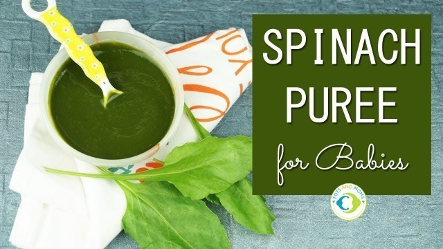 'Palak/ Spinach Puree for Babies | 6 months baby food'