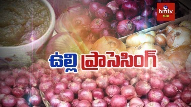 'Onion Processing Guide By Mynampati Sreenivasa Rao | Food Processing | hmtv Agri'