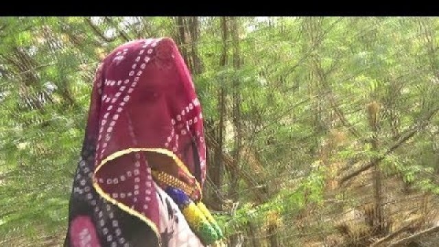 'Village Food Cooking (Mutton / Lal Maans) By Indian Woman on Stone Stove - Real Rajasthani Life'