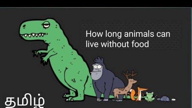 'How long animals can live without food explained in tamil |உணவு இல்லாமல் எவளோ நாள் விலங்குகள் வாழும்'