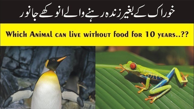 'Animals that can Live Without Food | Which Animal can Live Without Food For Lifetime?? | Uzair Afzal'