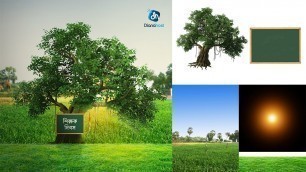 'How to Make Nature Photoshop Manipulation - web Banner Design - Tutorial - Designhob'