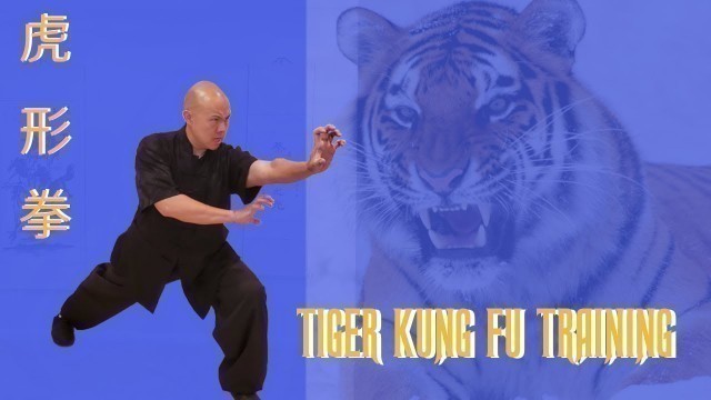 'Tiger Kung Fu Training -Stronger & Faster'