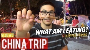 'WHAT AM I EATING?! Street Food in Shenyang, Liaoning | China Travel Vlog #5'