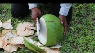 'Crazy Food Processing Machine 2021 | Coconut Water , Milk , Oil'