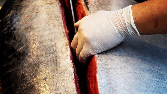 'Giant Tuna Cutting Show Sashimi / Korean street food/ 거대한 참치 해체쇼 참치회'