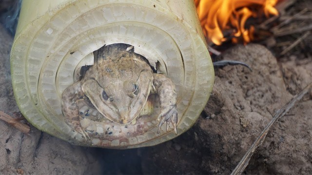 'Easy Creative Food / Yummy Eating Mouth Watering, Roast Frogs In Banana Hold. Tasty By Pisey Recipe'