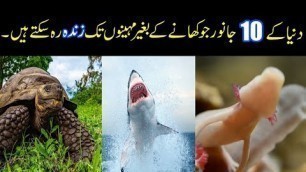 '10 Most Unique Animals That Can Live Without Food for Months | Top 10 Animals | Haq Sach | #haqsach'