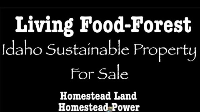 'Living Food-Forest ~ Homestead Land & Power ~ year-round Micro Hydro-electric & Solar-electric Power'