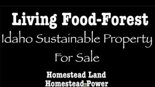 'Living Food-Forest ~ Homestead Land & Power ~ year-round Micro Hydro-electric & Solar-electric Power'