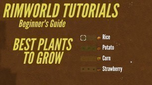 'Rimworld Food Guide | How to Grow Plants | Rimworld Tutorial Tips and Tricks'