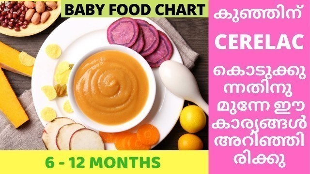 '6 to 12 Months Baby Foods Malayalam|Is Cerelac Safe?'