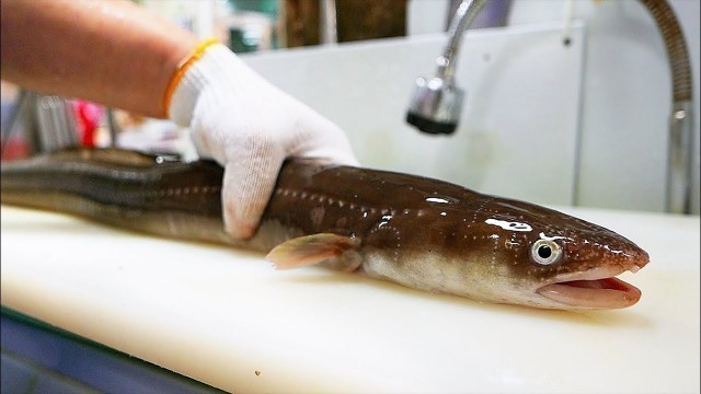 'Korean Street Food - GIANT EEL Sashimi Hotpot Busan Seafood Korea'