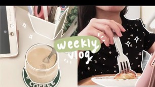 'weekly vlog 