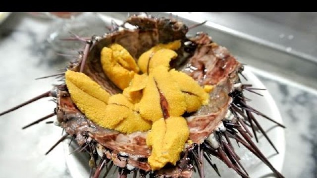 'Street Food - Eating LIVE Sea Urchin Uni Sashimi!'