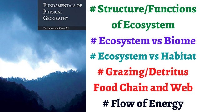 '(P2C15) Ecosystem Structure & Functions, Biome vs Ecosystem, Food chain types, Food Web, Energy flow'