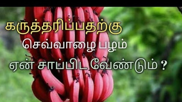 'செவ்வாழை பழம் கருத்தரிக்க உதவுமா?/red banana/red banana benefits in tamil /egg growth and spermcount'