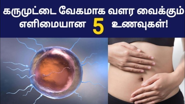 'food for egg growth and ovulation in tamil | best food for egg growth in tamil | pregnant fast tamil'