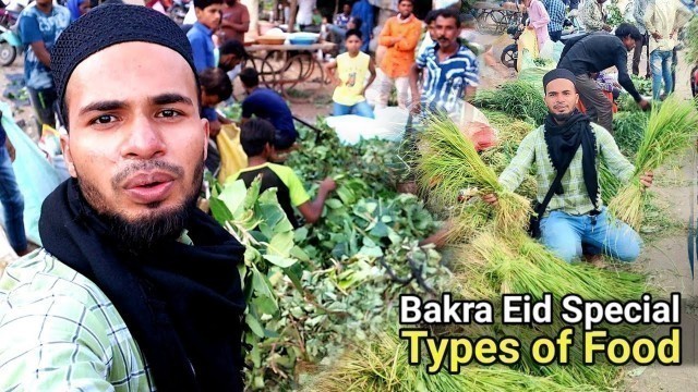 'Bakra: Types of Food for Goat in India | Cow, Bakra Mandi, Eid ul Adha Special 2021'