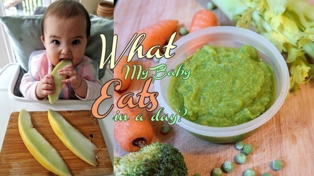 'What my VEGAN 8 MONTHS OLD Baby Eats in a day ? [ BLW ]'