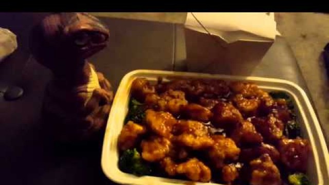 'Bob the Raptor - Chinese Restaurant - Food Review - Li Garden Eastlake Ohio Delivery'