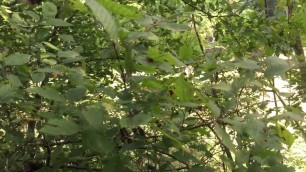 'Living food cache . A walk on the farm'