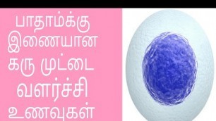 'Egg growth food for fertility /Foods to boost your fertility / Egg quality improvement food in tamil'