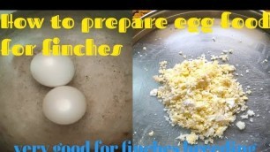 'how to prepare egg food for finches in tamil'