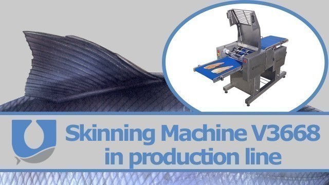 'Skinning Machine V3668 in production line|  Uni-Food Technic A/S'