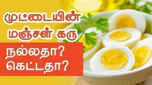 'Is Eating Egg Yolks Good or Bad? - Tamil Health Tips'