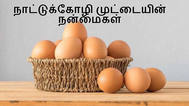 'நாட்டுக்கோழி முட்டையின் நன்மைகள்  | Country egg benefits in Tamil | Nattukozhi Muttai'