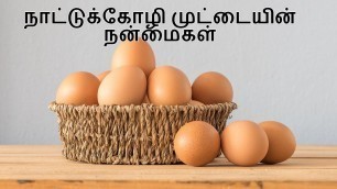 'நாட்டுக்கோழி முட்டையின் நன்மைகள்  | Country egg benefits in Tamil | Nattukozhi Muttai'