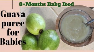 'GUAVA PUREE/Weight Gain Recipe for Baby/8+Months/BABY FOOD RECIPES/'