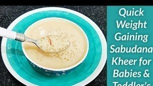 'Quick Weight Gaining Sabudana Kheer for Babies & Toddlers / 8+ months baby food / kheer recipes'