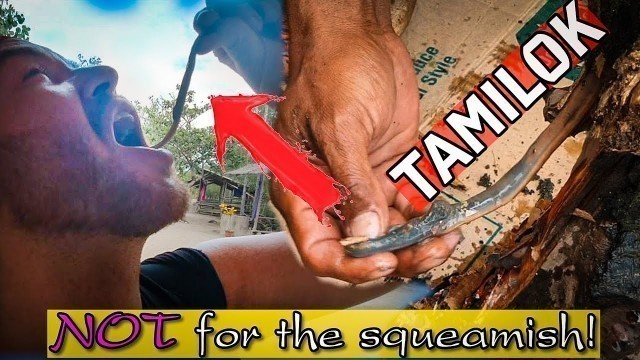 'Foreigner tries SHOCKING food - TAMILOK in Kalibo, Philippines!'