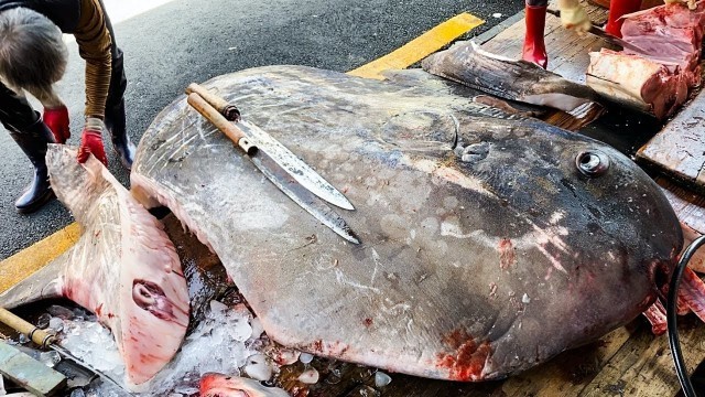 'Amazing!! Supersize fish cutting skills, SUNFISH / Korean street food'