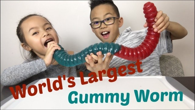 'World\'s Largest Gummy Worm | Mukbang | N.E Lets Eat'