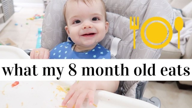 'WHAT MY 8 MONTH OLD EATS IN A DAY | EASY BABY LED WEANING IDEAS'