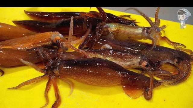 'KOREAN STREET FOOD SQUID SASHIMI KOREA SEAFOOD MARKET 포항 송도 활어회센터 오징어회 060222'