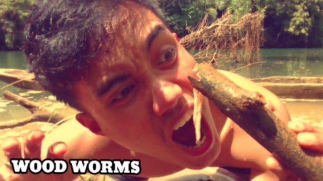 'Eating (Tamilok)WOODWORMS| Filipino Exotic Food ASMR'