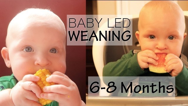 'BABY LED WEANING 6 MONTHS| FIRST FOODS'