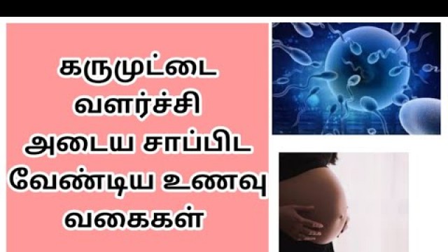 'கருமுட்டை நன்கு வளர சாப்பிட வேண்டிய உணவுகள்|foods to eat egg follicles growth in tamil|pregnantfast'