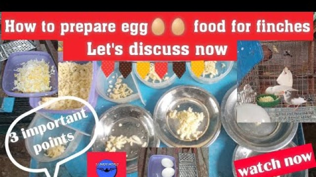 'How to prepare egg